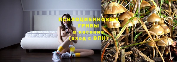 МДПВ Аркадак